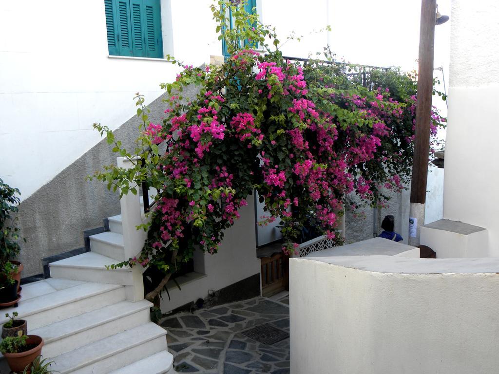 Hotel Anixis Naxos City Exterior foto